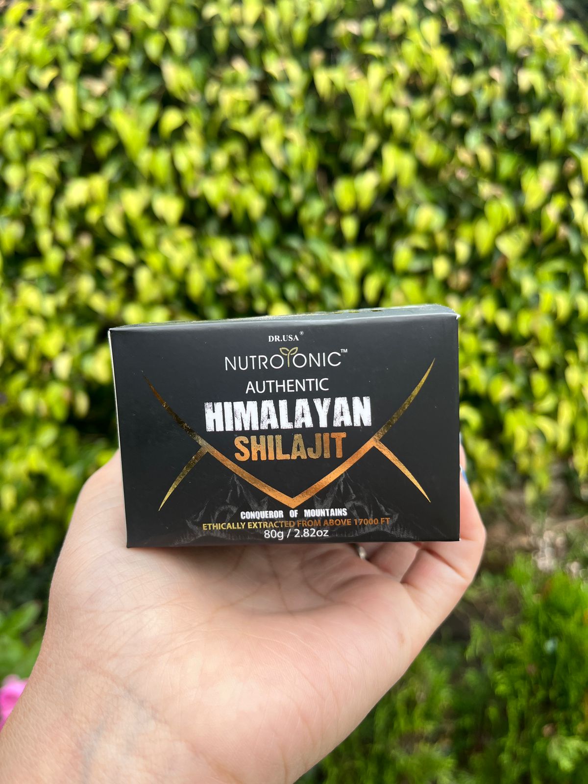 Shilajit Original Himalaya