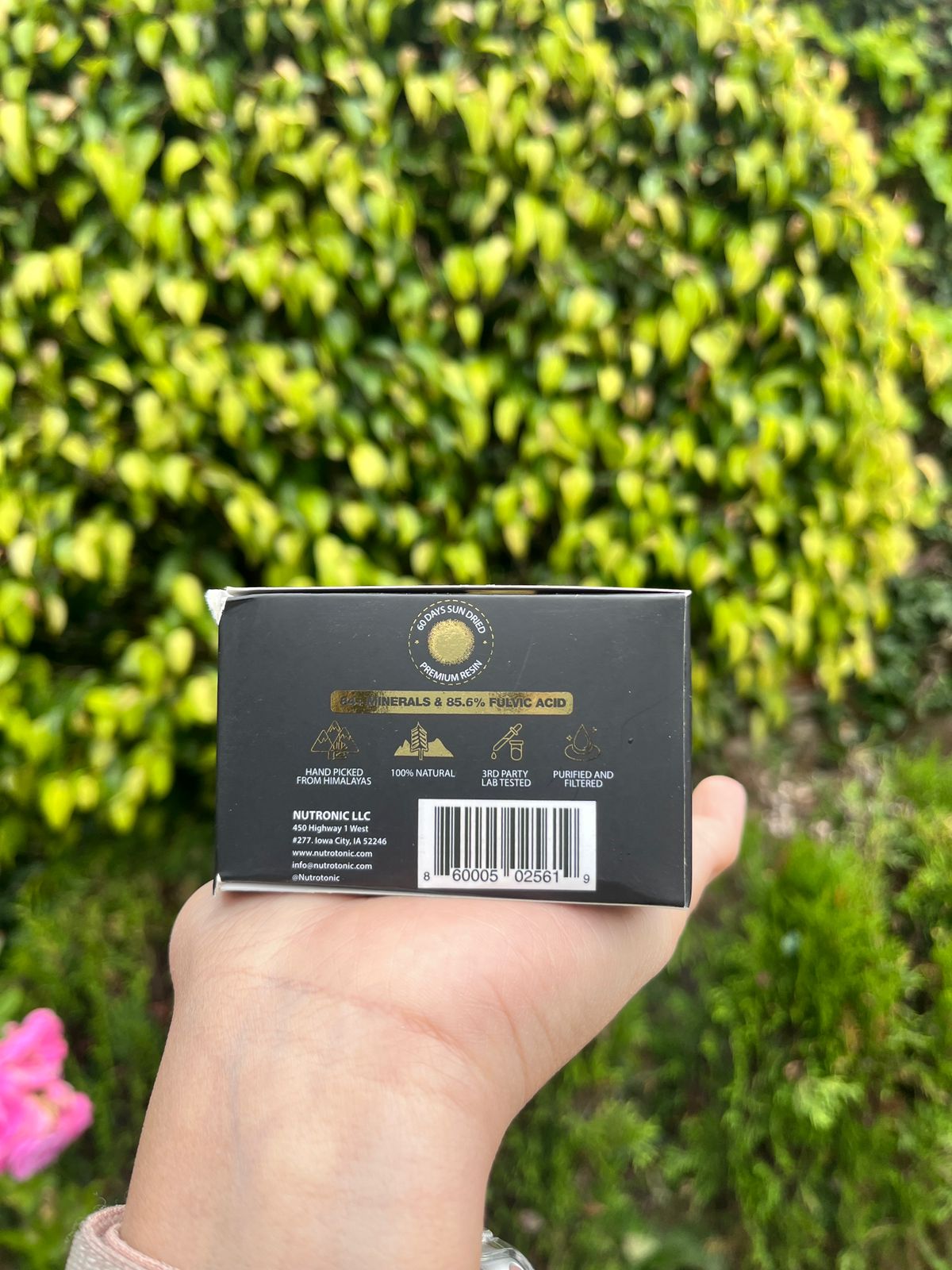 Shilajit Original Himalaya